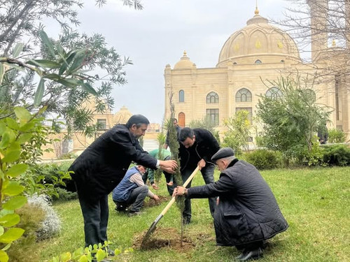 593747415 1248407500639700 5375449453372754012 n.jpg?stp=dst jpg s590x590 tt6& nc cat=108&ccb=1 7& n.jpg