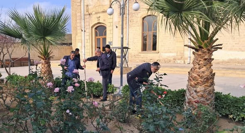 595246471 1320712790091539 8878507479111744107 n.jpg?stp=dst jpg s590x590 tt6& nc cat=108&ccb=1 7& n.jpg