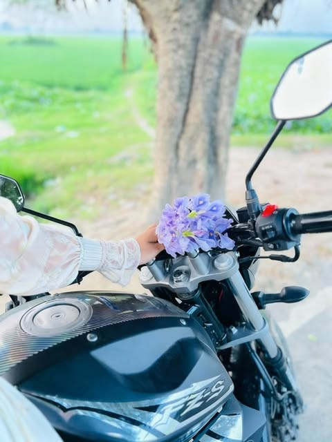 seedream 0 1764865550103.jpg