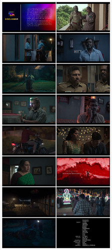 IMG 20251204 215334.jpg