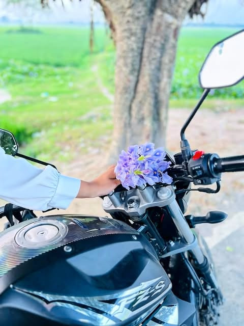 seedream 0 1764865372203.jpg