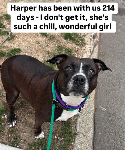 Gmwj7CkboAA e2E?format=jpg.jpg