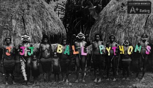 Gemini Enterprise Image.png