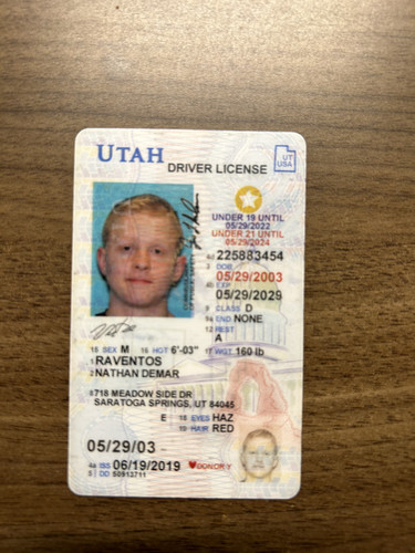 Nathan Demar Raventos license image.jpg