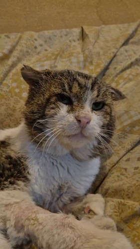 fAM ImJoHtjVlj6G.jpg