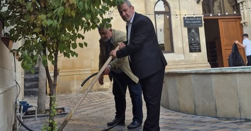 588429052 18113085145599110 7127542415414975882 n.jpg?stp=dst jpg s590x590 tt6& nc cat=100& nc cb=99.jpg