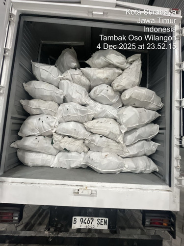 2555974a 3d02 4fbc 85b5 c2865a246c7d.jpg