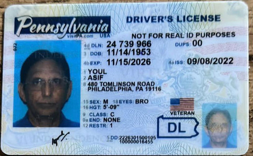 Asif Youl license image.jpg