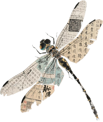 retouch 2025120500373873.png