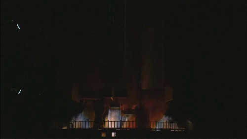 Hybor291RxBE Y b.jpg