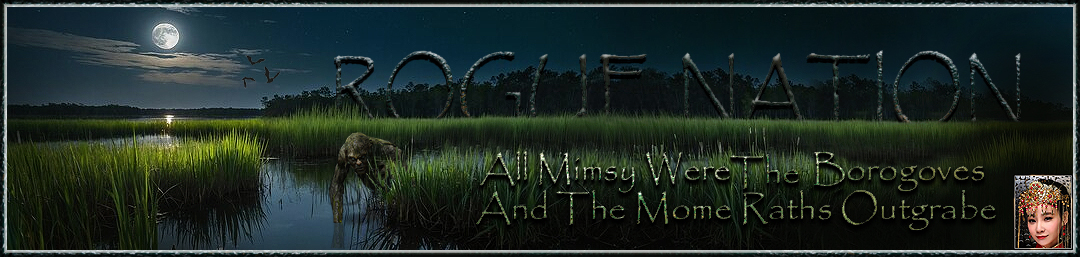 Rogue-Nation Discussion Board