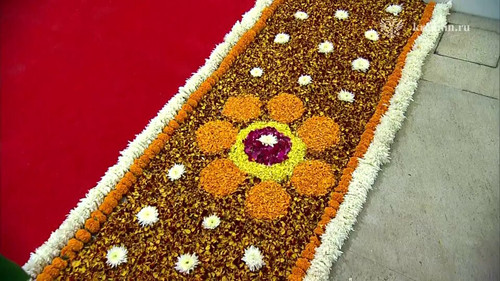 5HF51usfMbr 72zk.jpg