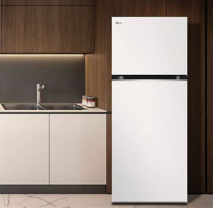 Geladeira LG Duplex 395l Frost Free Inverter Branca Branco