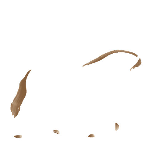 IMG 3029.png