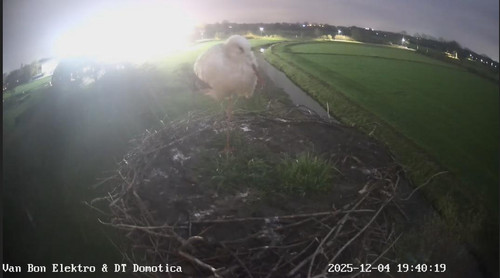 MWSnap731.jpg