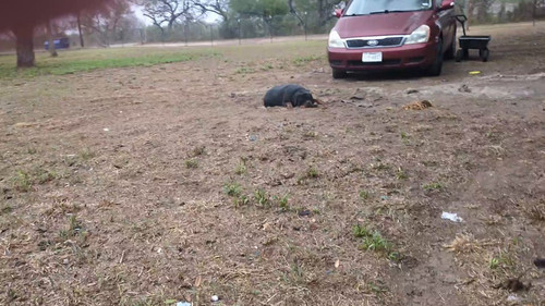 ZwsNpRkjCE zDa9s.jpg