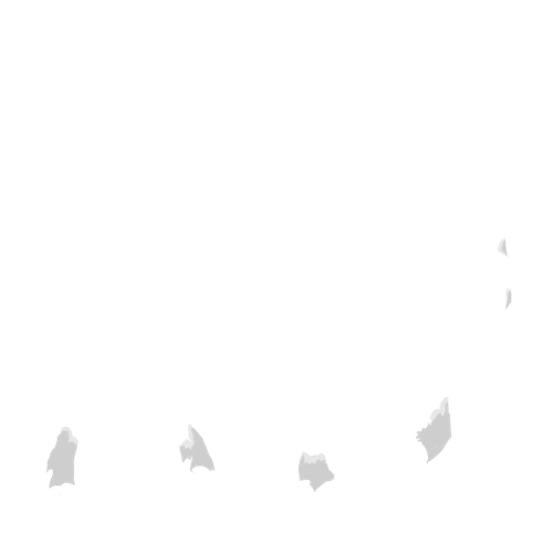 IMG 3017.png