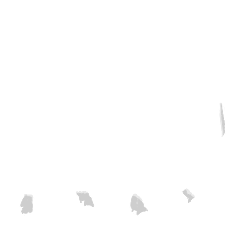 IMG 3018.png