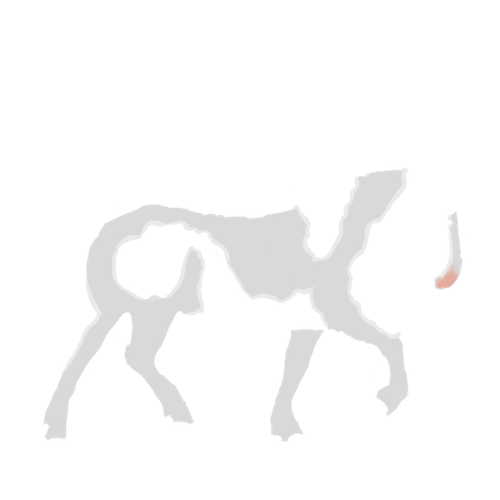 IMG 3025.png