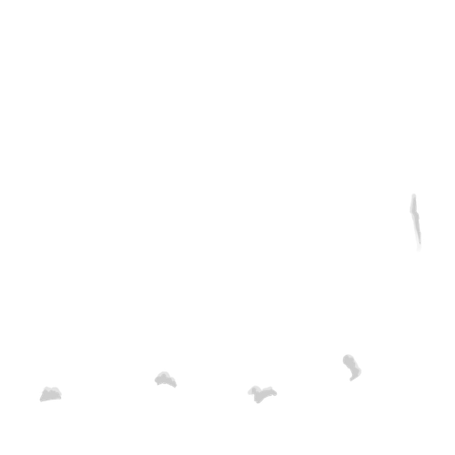 IMG 3019.png