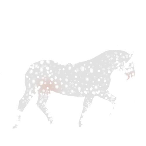 IMG 3015.png