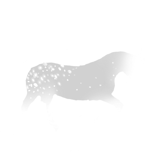 IMG 3016.png