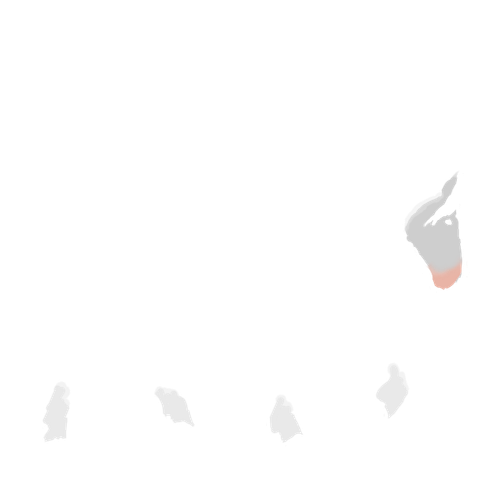 IMG 3022.png