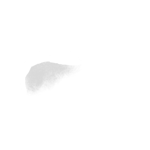 IMG 3026.png