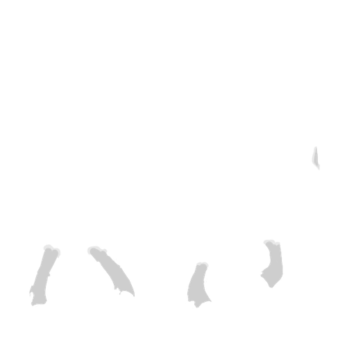 IMG 3021.png
