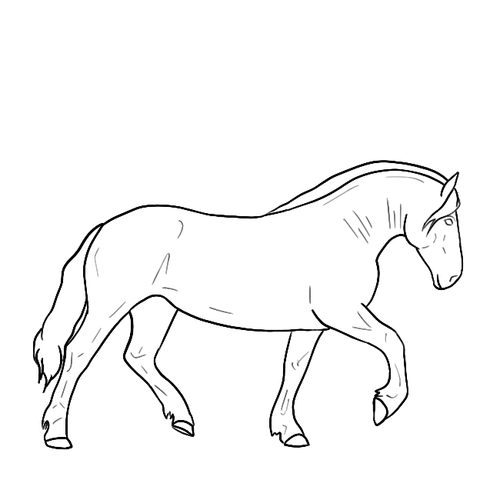 IMG 3006.png