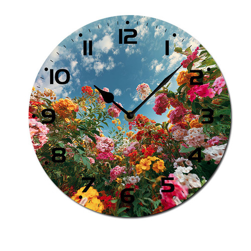 colorful flower garden blue sky 001 01.jpg