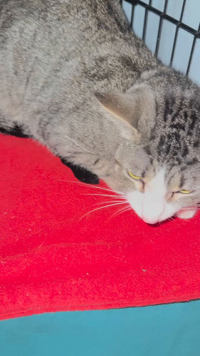 8Fx T8K0w f1k2JB.jpg