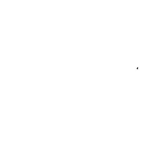 IMG 3033.png