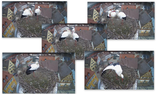 Bilder2.jpg