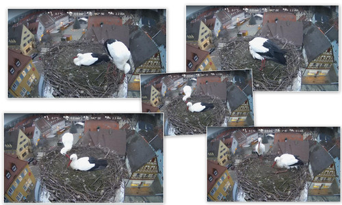 Bilder.jpg
