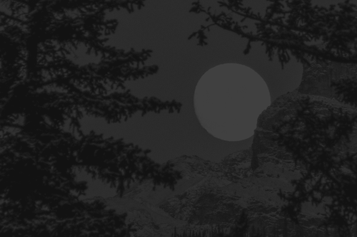 231011 TVD Hintergrund.png
