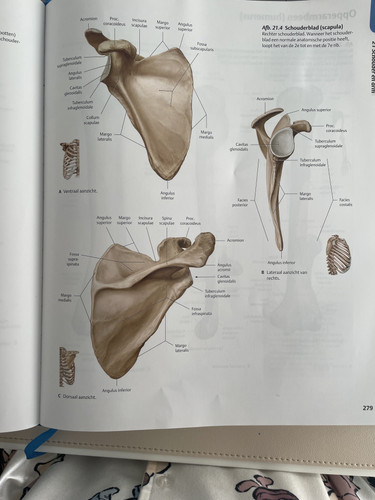 b1d4f32abd59.jpg