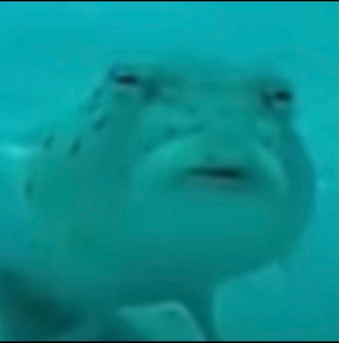 IMG 1812[1].png