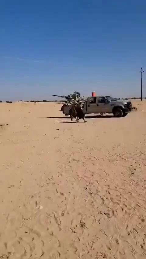 zK9uK2fF6L fMwGy.jpg