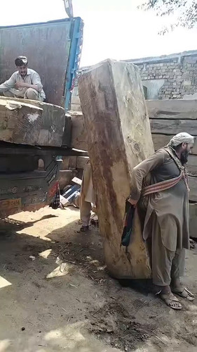 FZf3eXBY5H0NusPt.jpg
