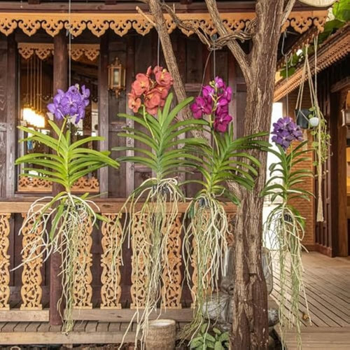 61SYVbTatWL. AC UF1000,1000 QL80.jpg