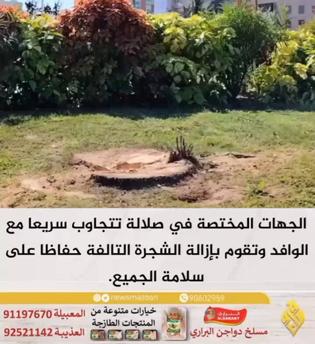 qiknmsN UiiLekVy.jpg