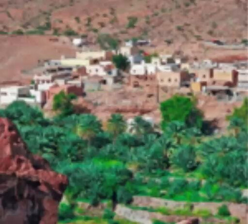 1tCXSUB fNbsxhT6.jpg