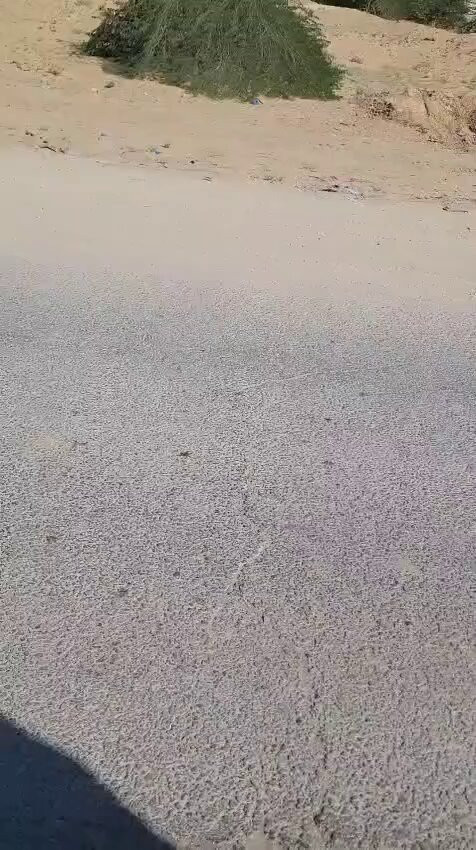 eRpt2tnYsyTc0OyK.jpg