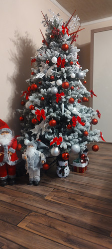 IMG 20251204 160424187.jpg