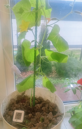 IMG 20251204 111108.jpg