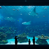 Sentosa Adventure Package image 2 1024x768