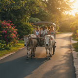 Seychelles Dream: Island Escape image 4 896x1152