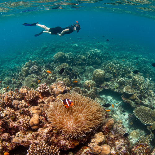 Seychelles Eco Explorer image 2 1024x768.png