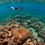 Seychelles Eco Explorer image 2 1024x768